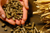 free Swinhoe biomass boiler quotes